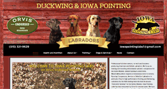 Desktop Screenshot of iowapointinglabs.com
